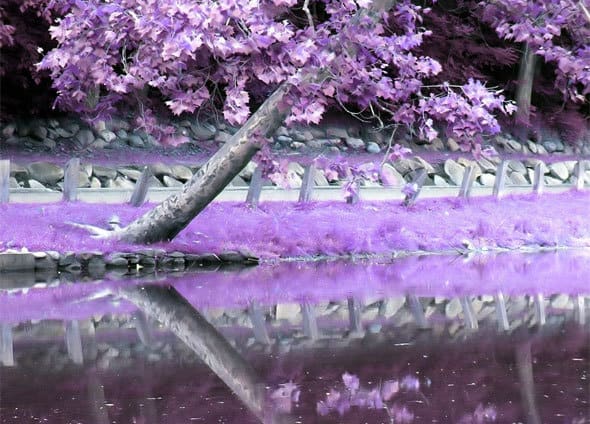Daily Reflections