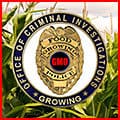 food-growing-120