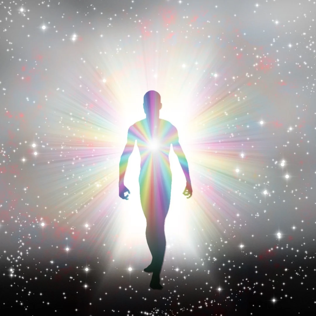 Cosmic Life Regression