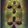 Cosmic Shiva Eye – Amplifiers