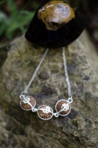 Rudraksha Practitioner Training Program