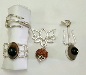 Rudraksha Practitioner Training Program