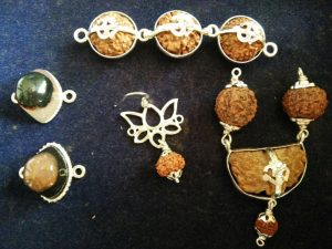 Rudraksha Practitioner Training Program