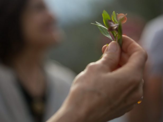 Sacred Plants abound