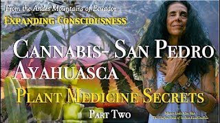 Sacred Plant Medicine Authenticity and Integrity