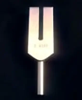 Tuning Fork